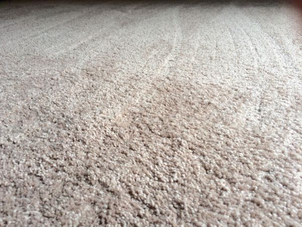 Plush Carpet Installation in Lincoln