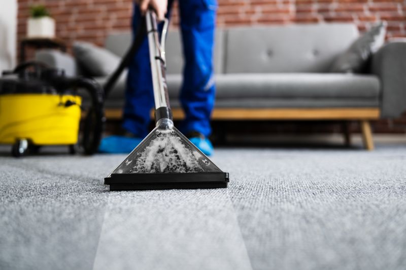 Condo Carpet Cleaning